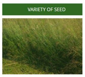 gallery/Seed logo