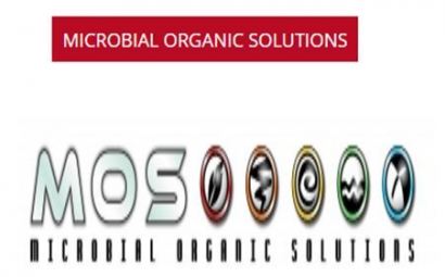 gallery/Mos logo