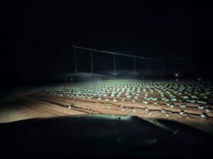 IMG-20240507-WA0058